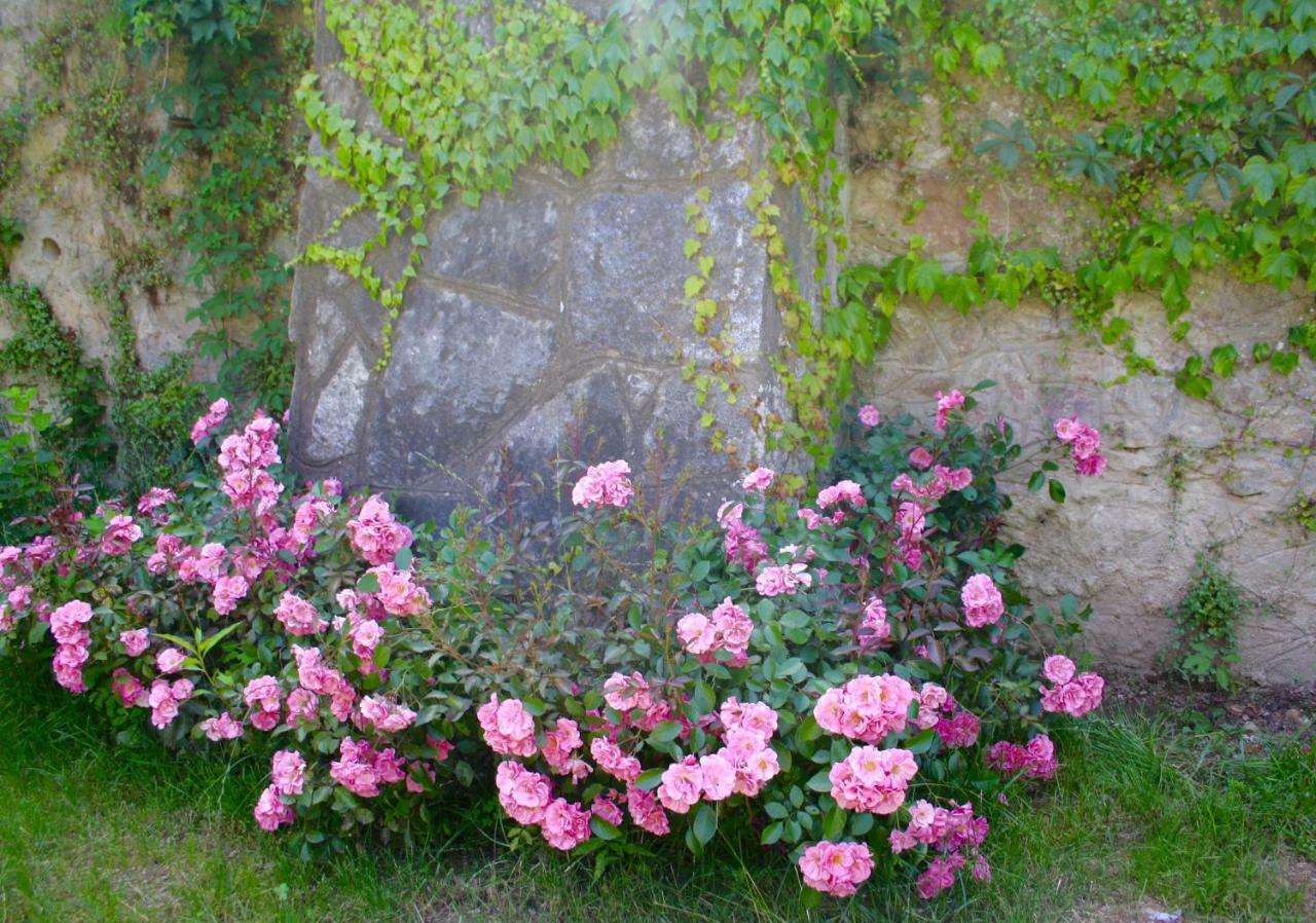 White Lilac Romantic B&B - Adults Only Arona Exteriör bild